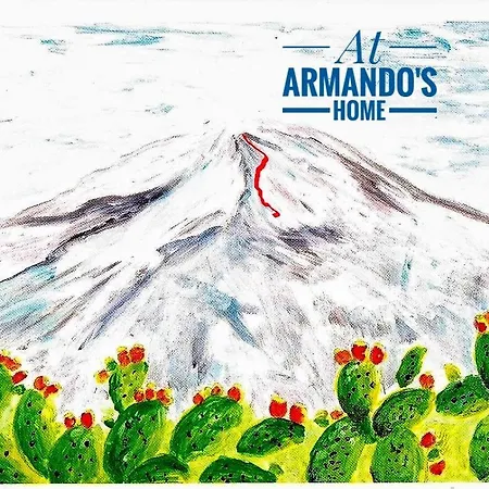 At Armando's 제프라나에트니아